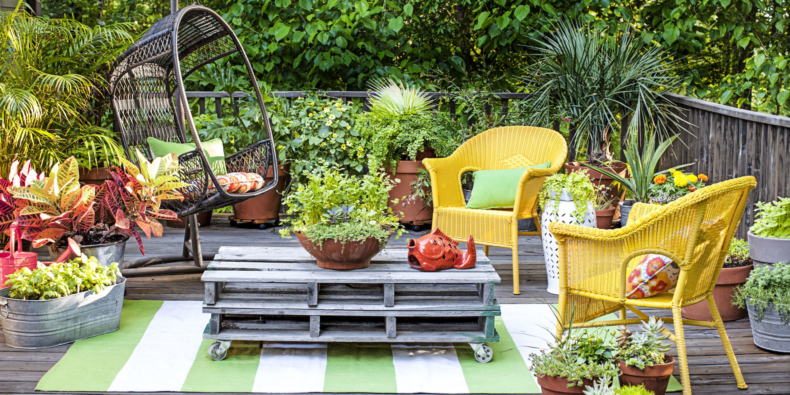 Creative Ways of Decorating a Flower Pot and What Plants Really Need in 2025