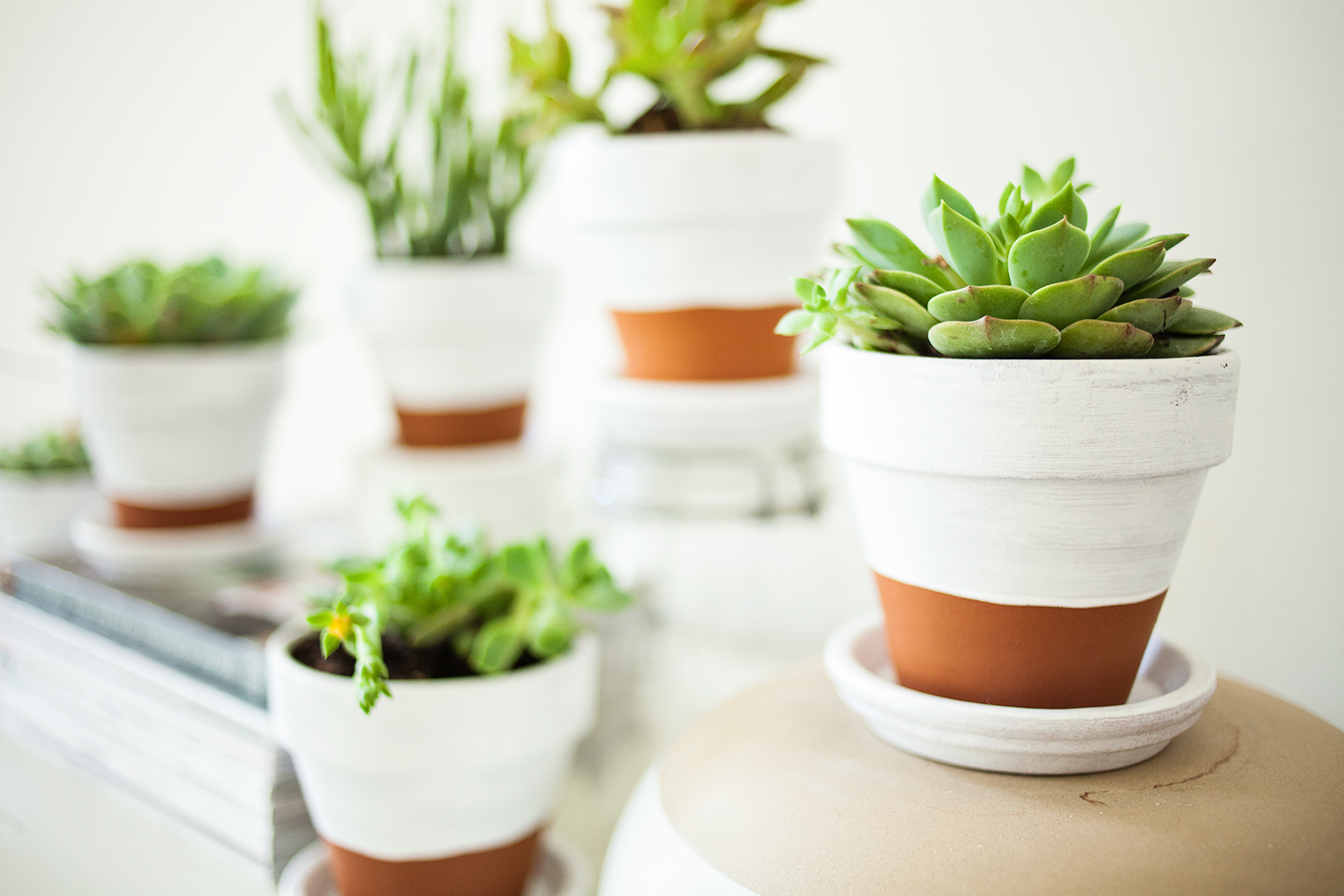 Creative Ways of Decorating a Flower Pot
