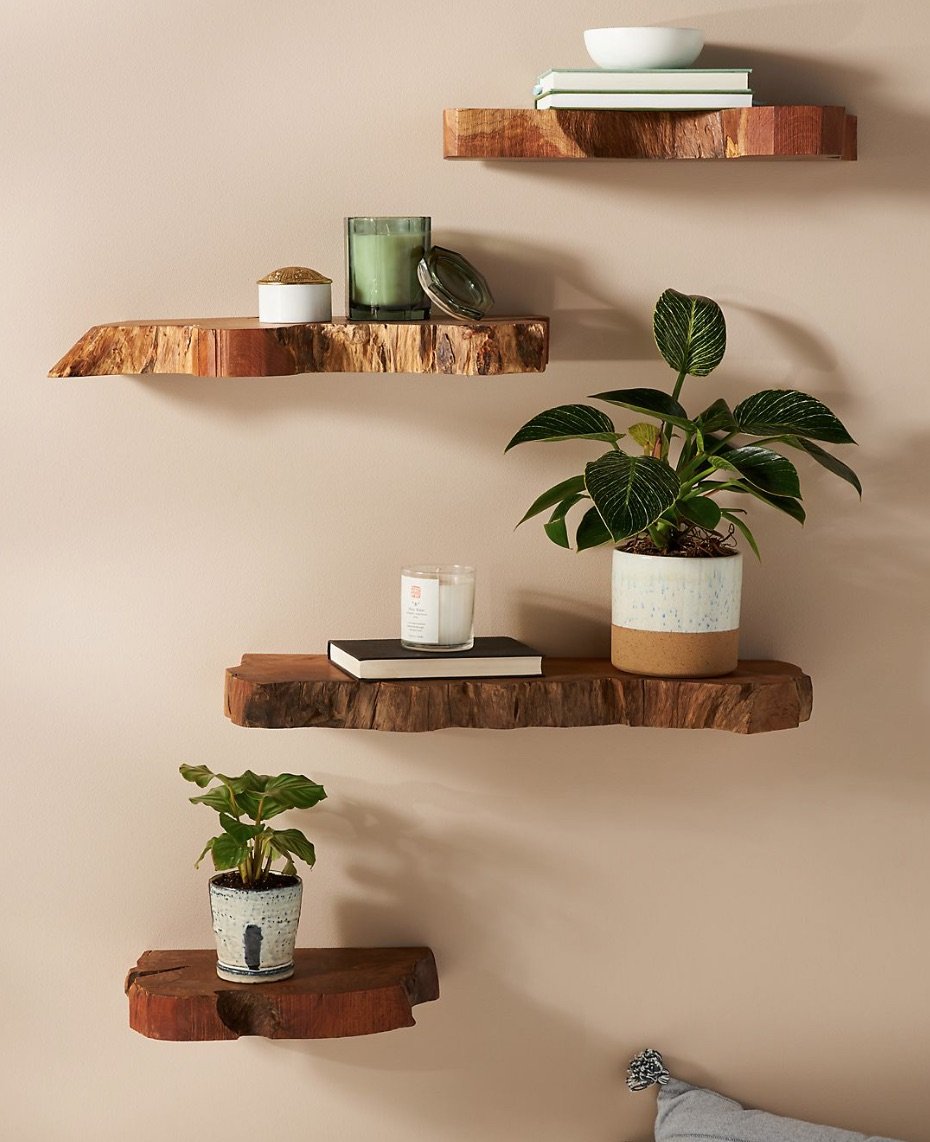 Beyond Greenery, Unique Natural Wall Decor Ideas for Every Room in 2025