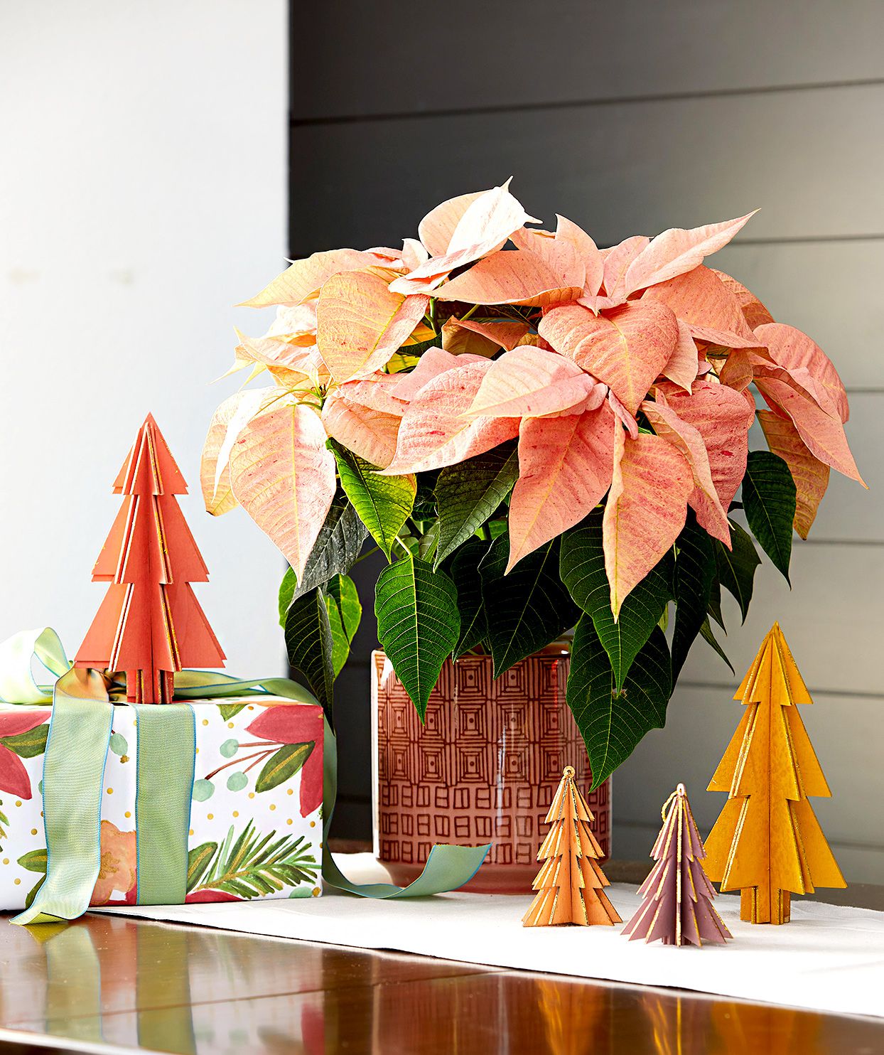 Expert Tips The Best Way to Care for Your Poinsettia for Long-Lasting Color & Health