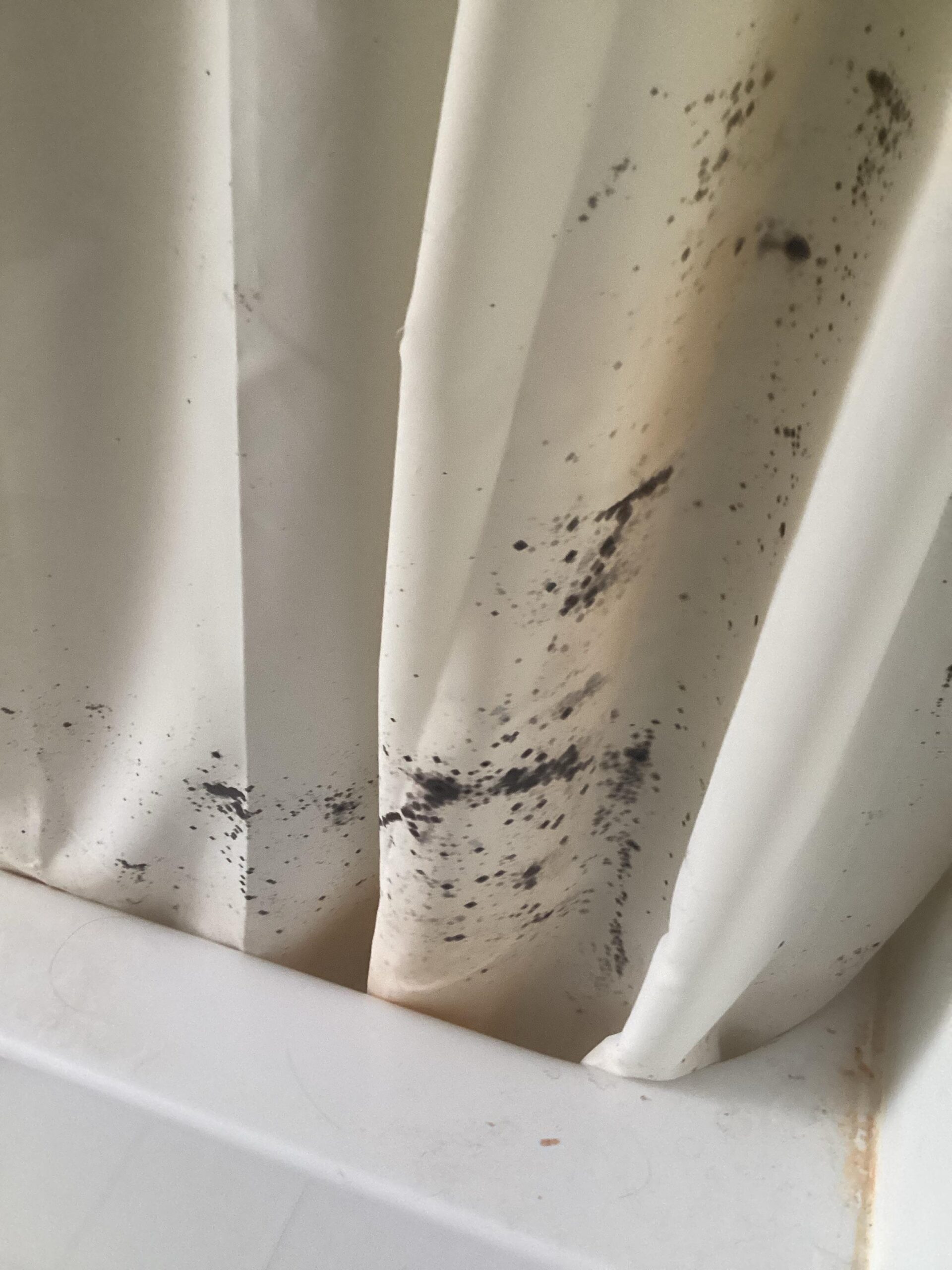 Black Mold on Shower Curtains. Expert Tips to Clean & Prevent in 2025