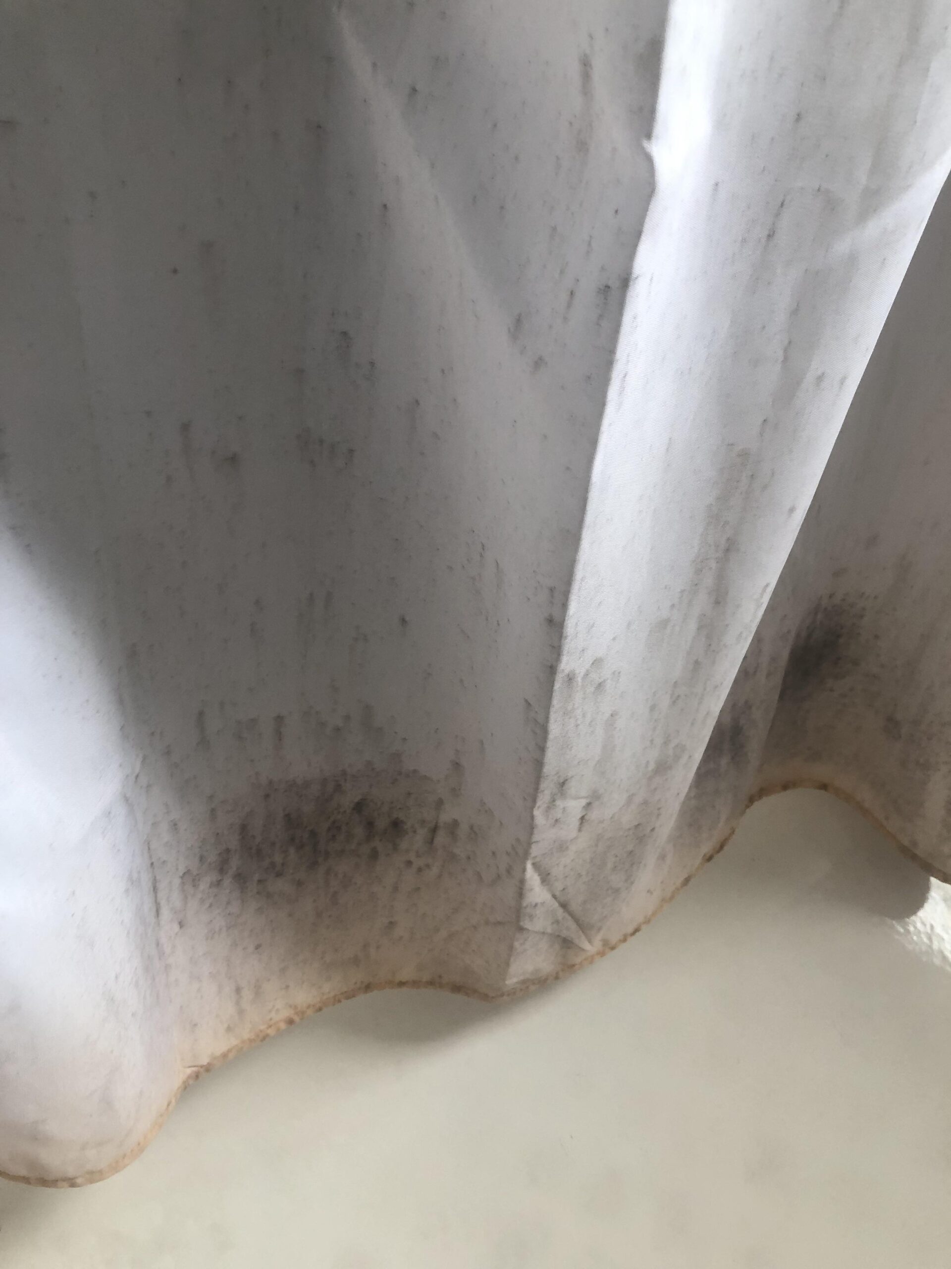 Say Goodbye to Grime. The Ultimate Guide to Cleaning Black Mold from Shower Curtains
