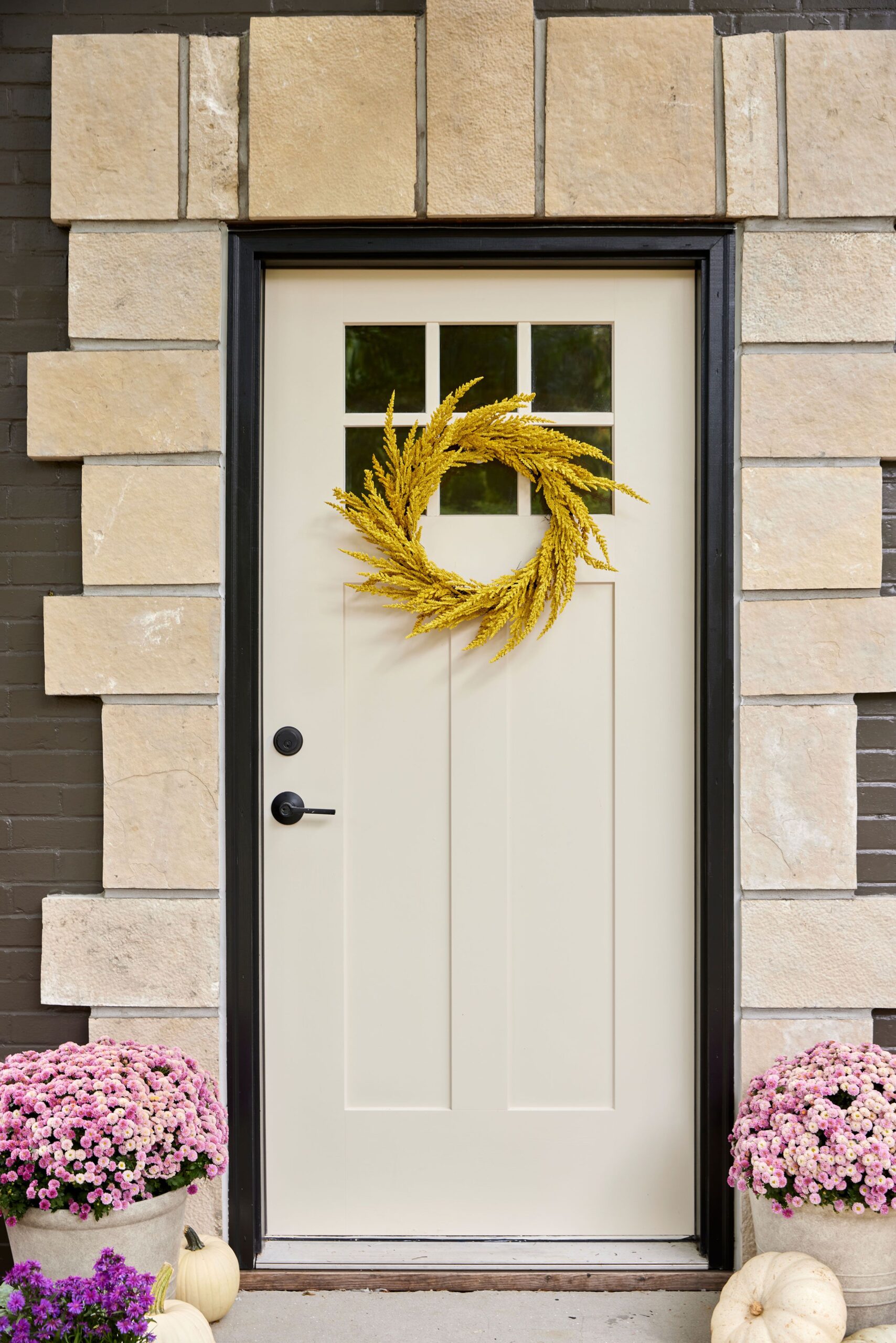 Top 15 Exterior Front Door Trim Styles for 2024