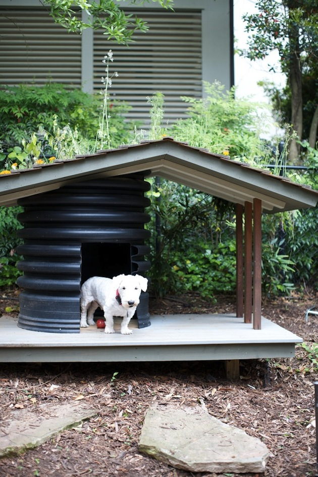 10 Creative Dog House Design Ideas intended for Dog House Design Ideas