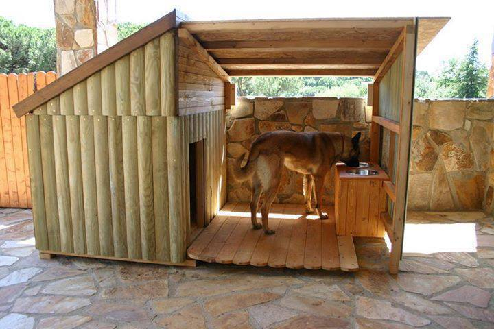 10 Creative Dog House Design Ideas regarding Creating the Ultimate Canine Retreat Exploring Innovative Dog House Ideas