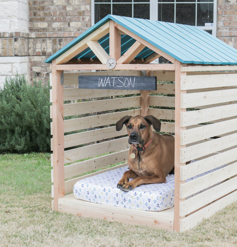 Creating the Ultimate Canine Retreat Exploring Innovative Dog House Ideas