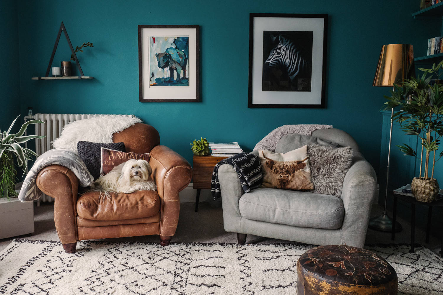 15 Living Rooms That Boast A Teal Color in The Art of Styling with Dark Teal for an Elegant Living Area