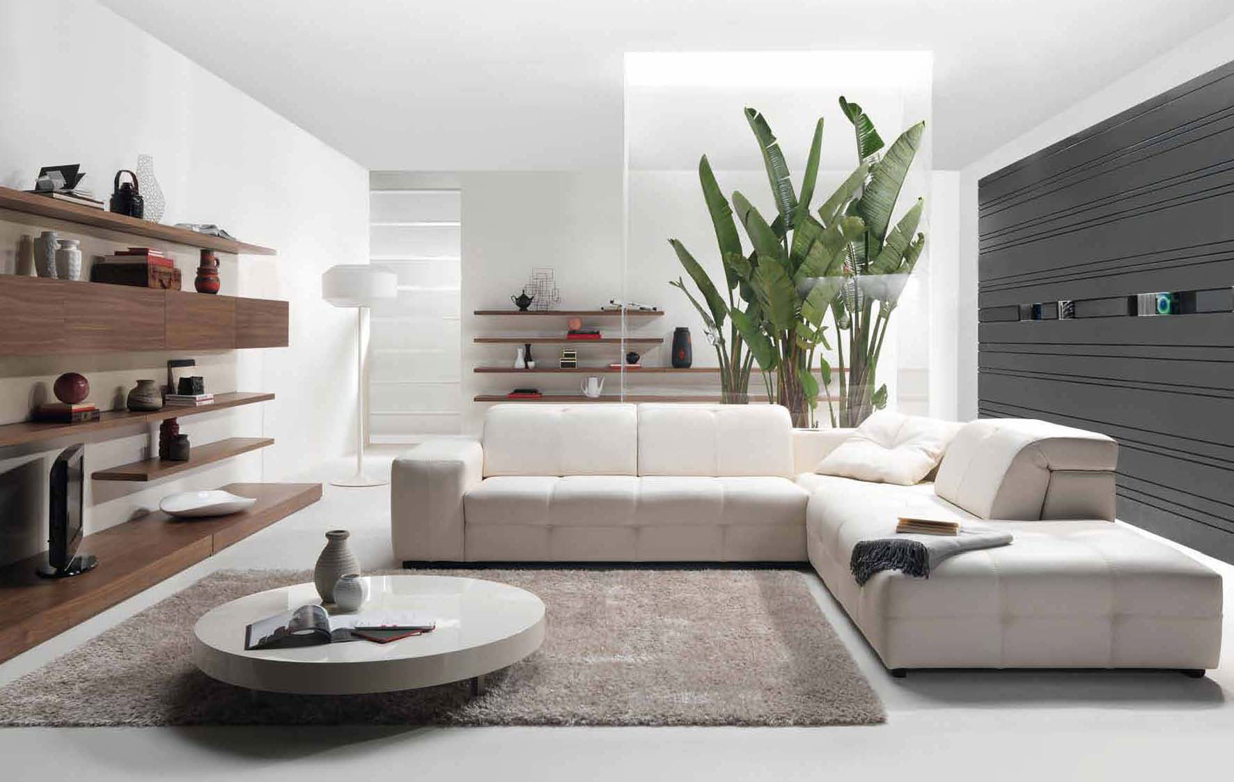 Unlock the Secrets to a Stylish Modern Living Room