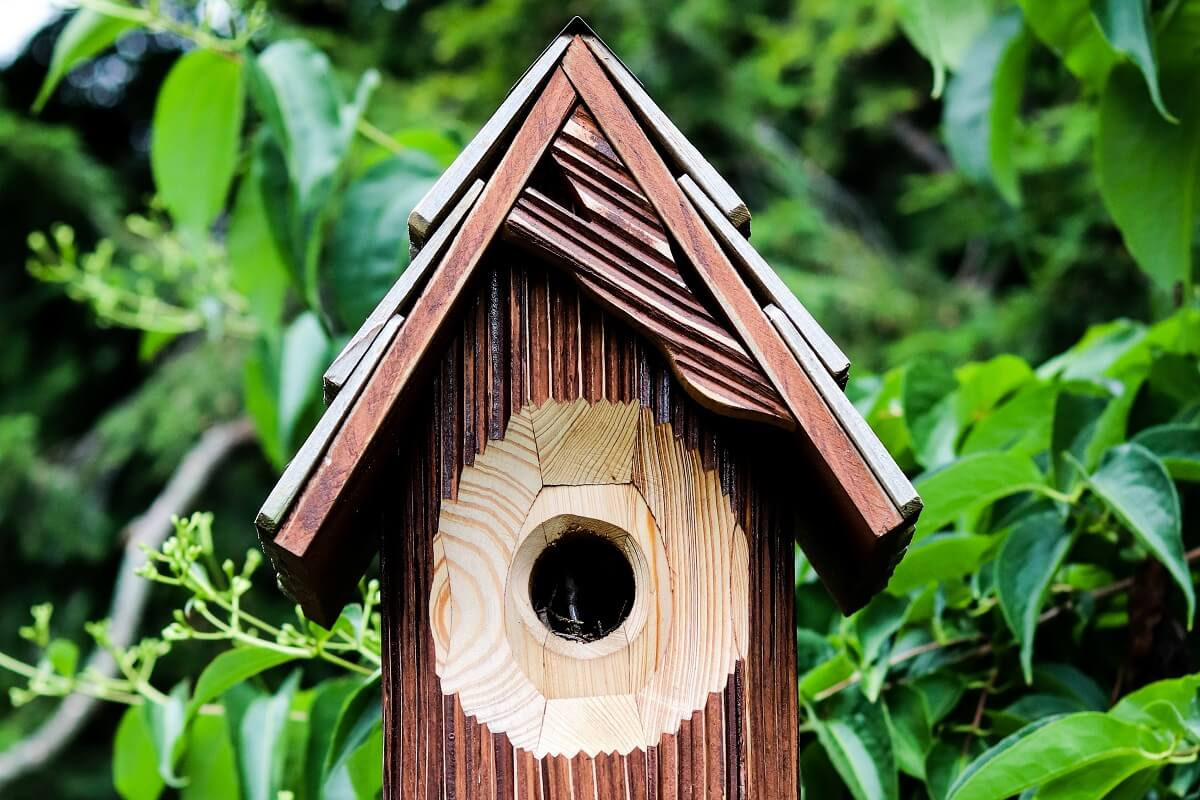 25 Free Bird House Plans To Welcome Feathered Friends To Your Garden ... with regard to Beyond the Basic Box Simple Bird House Design Secrets
