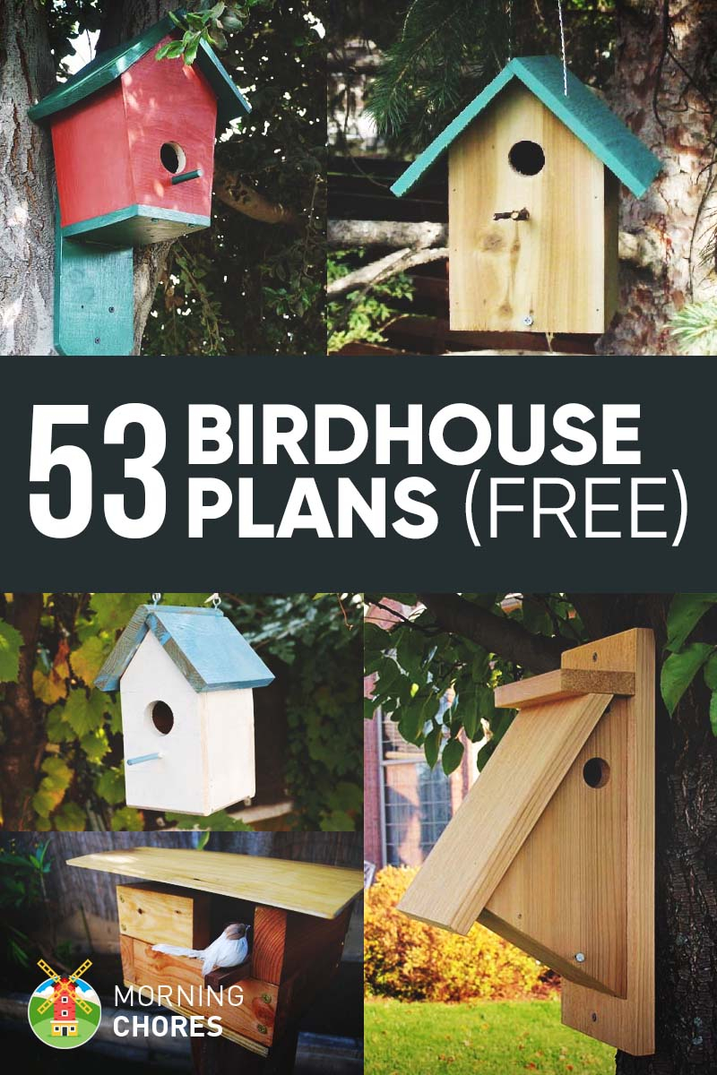 53 Diy Birdhouse Plans That Will Attract Them To Your Garden for Bird House Design Ideas