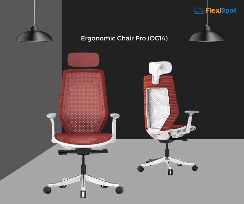 6 Most Amazing Ergonomic Massaging Office Chairs In 2022 | Flexispot inside Beyond the Hype Exploring the Real Advantages of Heated and Massaging Office Chairs