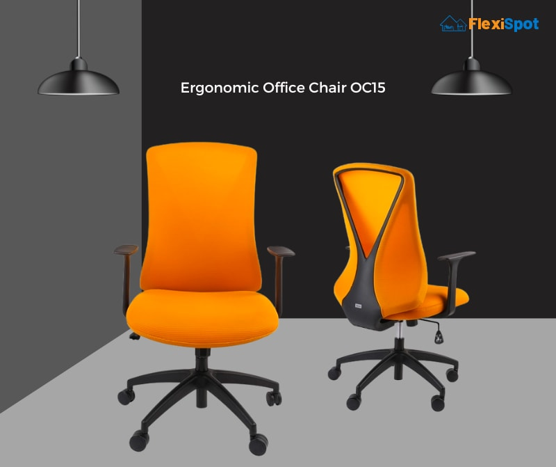 6 Most Amazing Ergonomic Massaging Office Chairs In 2022 | Flexispot with regard to Beyond the Hype Exploring the Real Advantages of Heated and Massaging Office Chairs