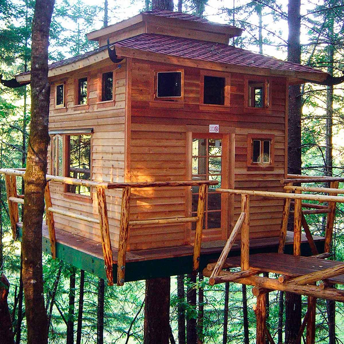 Crafting Your Dream Retreat Elevated Tree House Visions