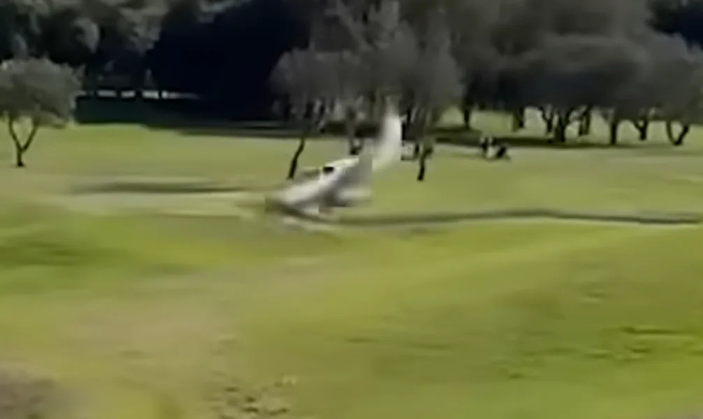 Australian Golfers Get Shock When Plane Makes Crash Landing On Course throughout What Makes Karges Dining Tables Stand Out