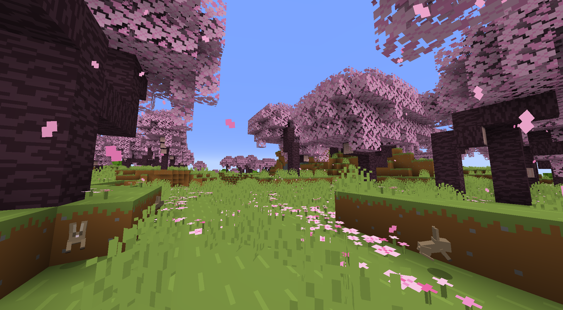 From Bare Bones to Beautiful Enjoying Your Garden More