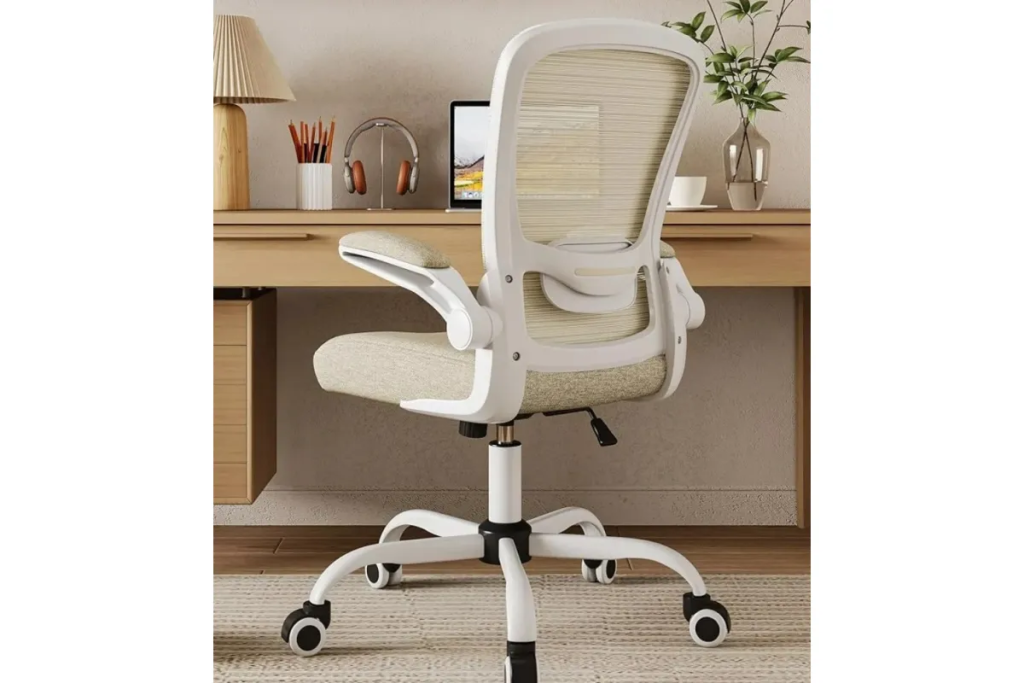 Best Budget-Friendly Ergonomic Office Chairs throughout