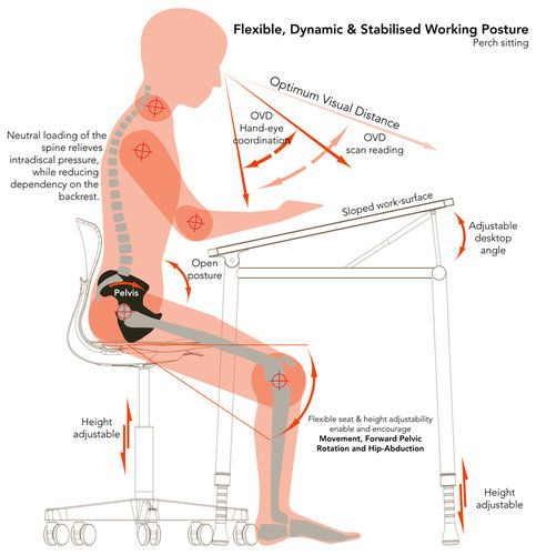 Co.design Archives | Ergonomic Chair, School Furniture, Ergonomics ... within