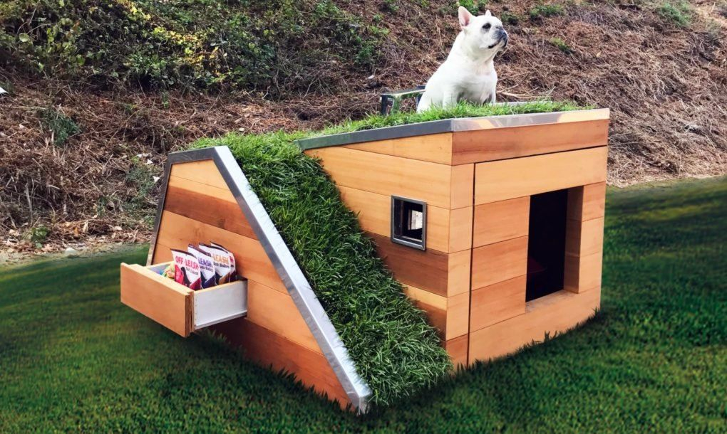 Cool Dog Houses With Modern Designs, Fancy Features And Comfort intended for Dog House Design Ideas