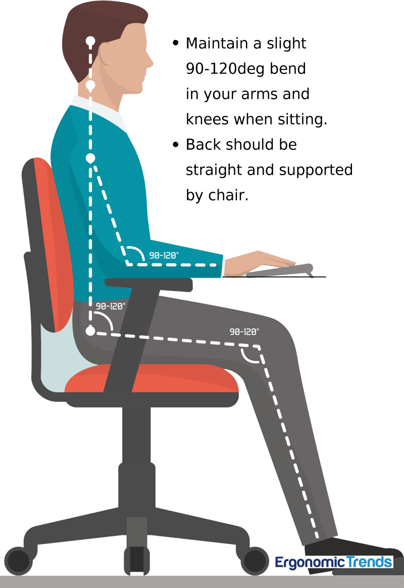 Navigating Office Chair Ergonomics Finding Your Perfect Fit