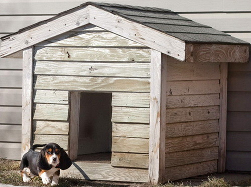 Creative Dog House Design Ideas - 31 Pictures with Dog House Design Ideas