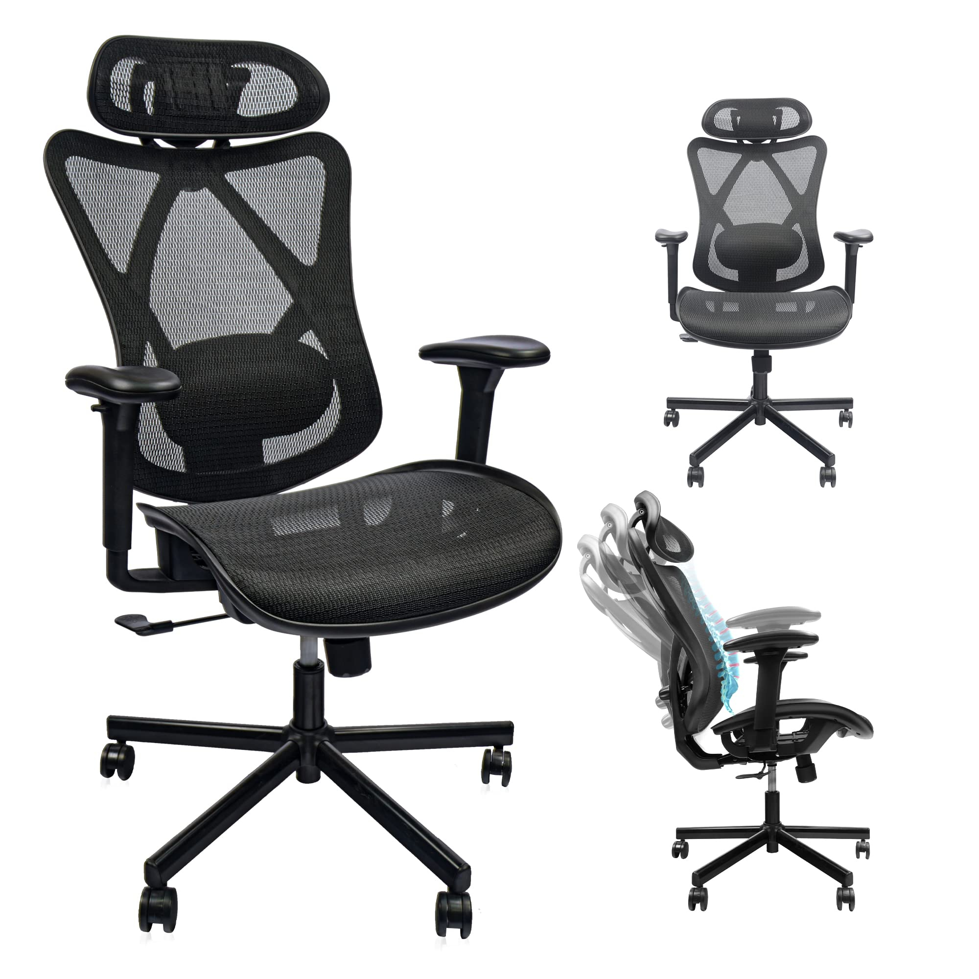 Ergonomic Office Chairs With Lumbar Support pertaining to