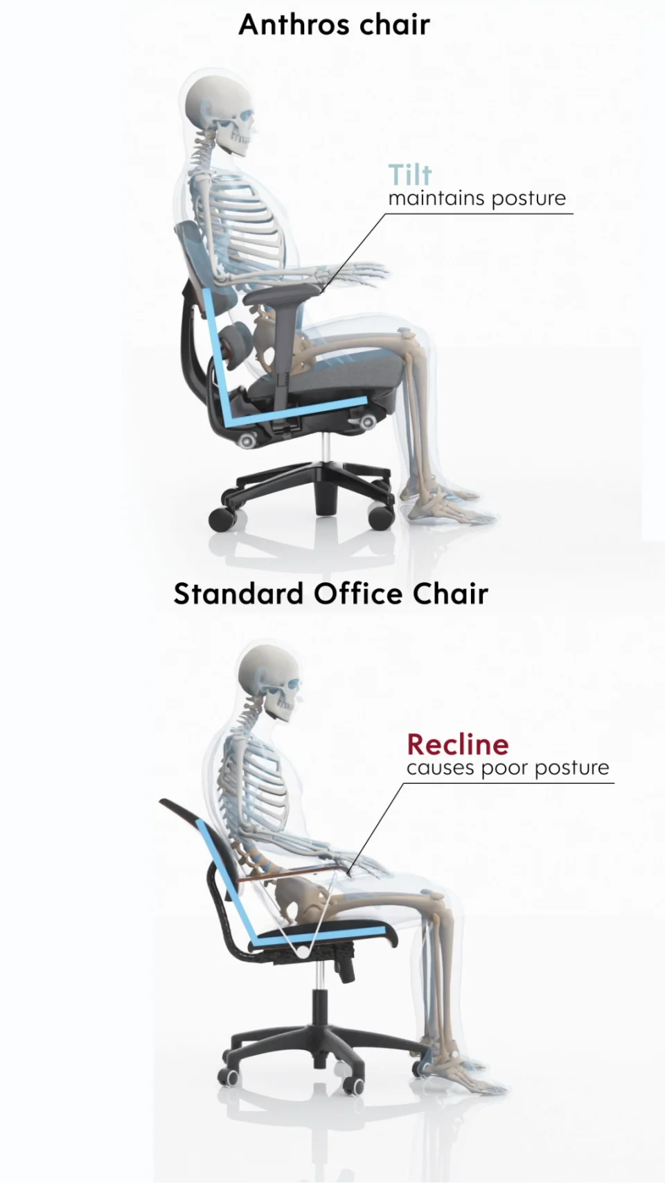 Navigating The Labyrinth Of Office Chairs A Comprehensive Guide To ... intended for Navigating the World of Office Chair Solutions for Optimal Health