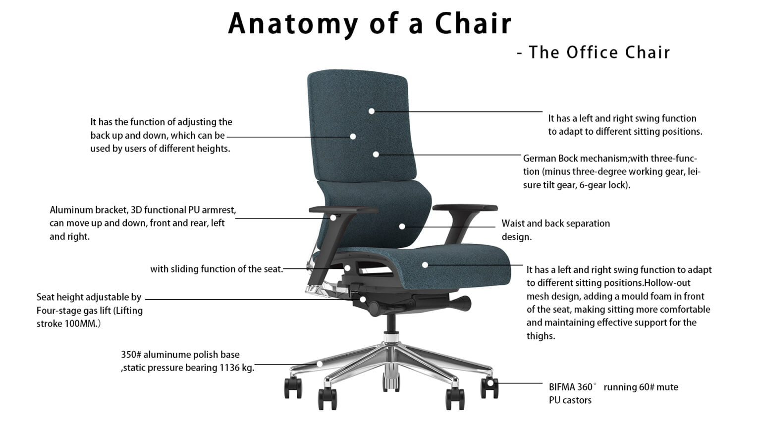 Office Chair Anatomy Decoding Features for Better Back Health