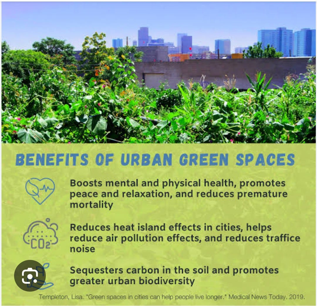 The Benefits Of Urban Green Spaces : | By Shahzad Mehmood | Oct, 2024 ... with regard to