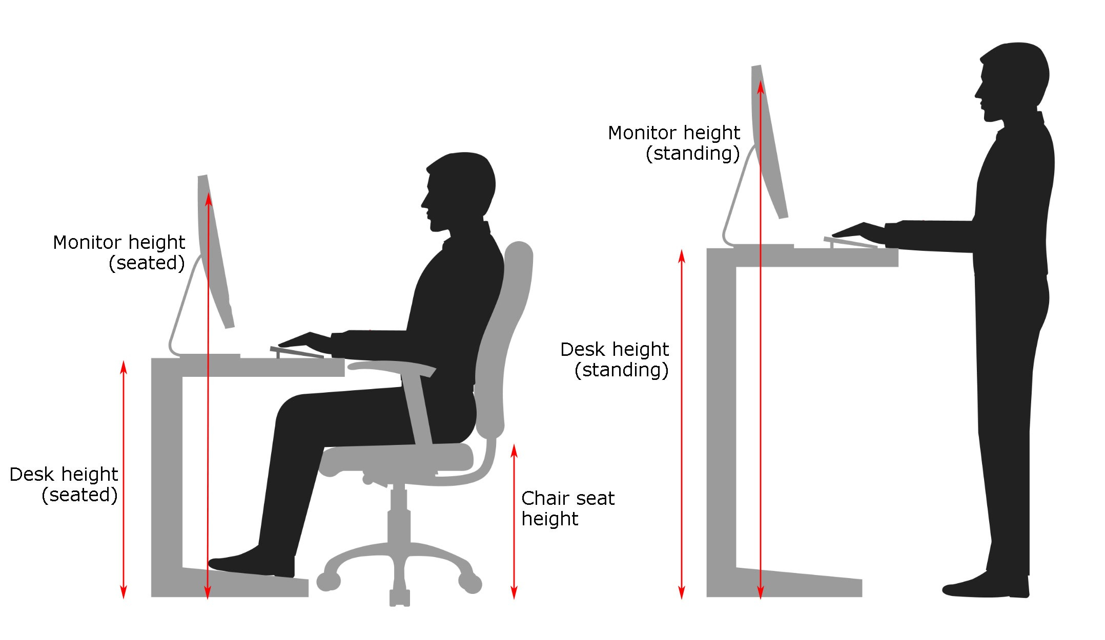 The Ultimate Guide to Office Chair Height for All Body Types