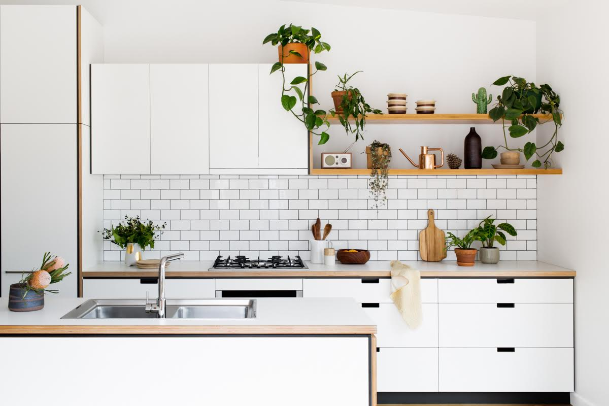 Creating a Sustainable and Stylish Modern Kitchen