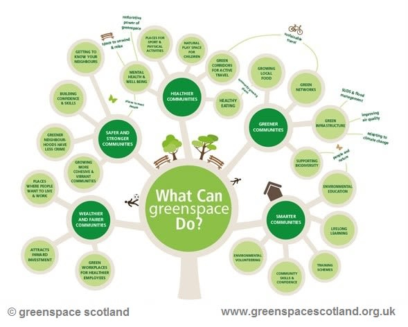 Unlocking the Benefits of Green Living Spaces for Mind and Body