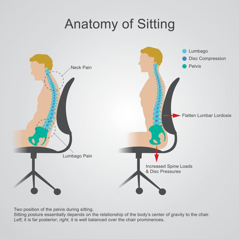 What Is The Correct Ergonomic Sitting Posture In The Office? regarding Beyond the Lumbar Support Understanding True Ergonomic Comfort