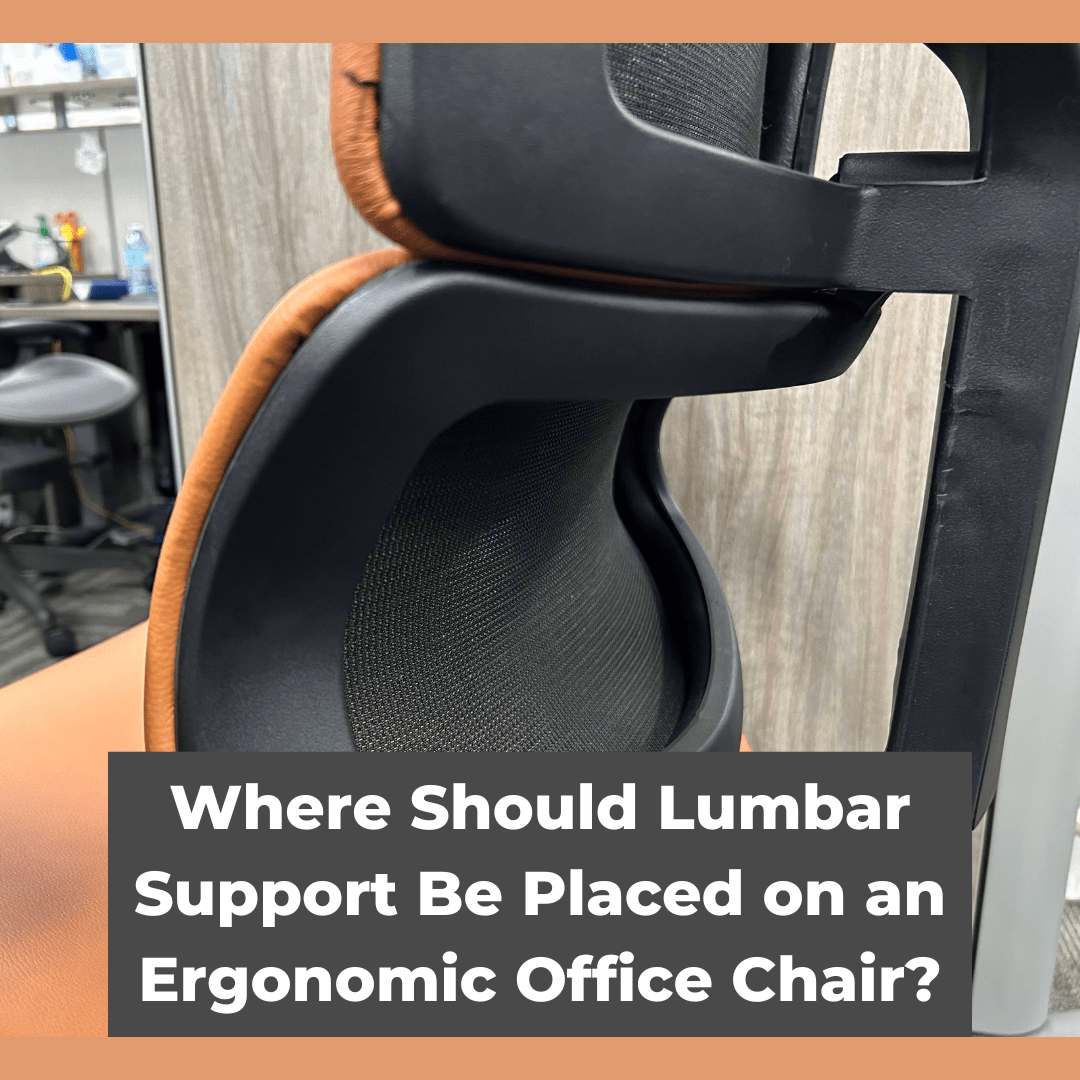 Where Should Lumbar Support Be Placed On An Ergonomic Office Chair ... regarding Beyond the Lumbar Support Understanding True Ergonomic Comfort