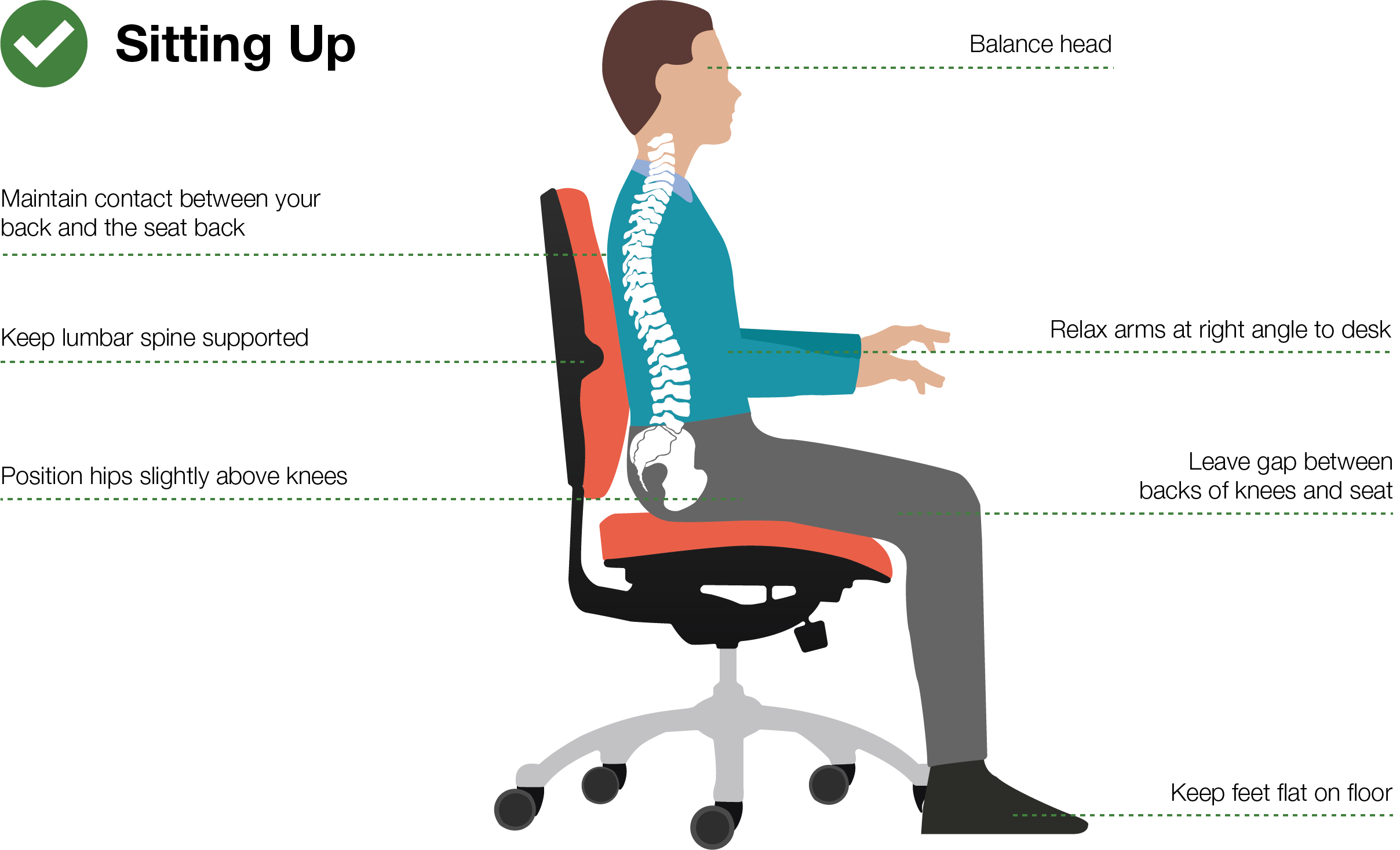 Where Should Lumbar Support Be Placed | Proper Setup Guide with Beyond the Lumbar Support Understanding True Ergonomic Comfort