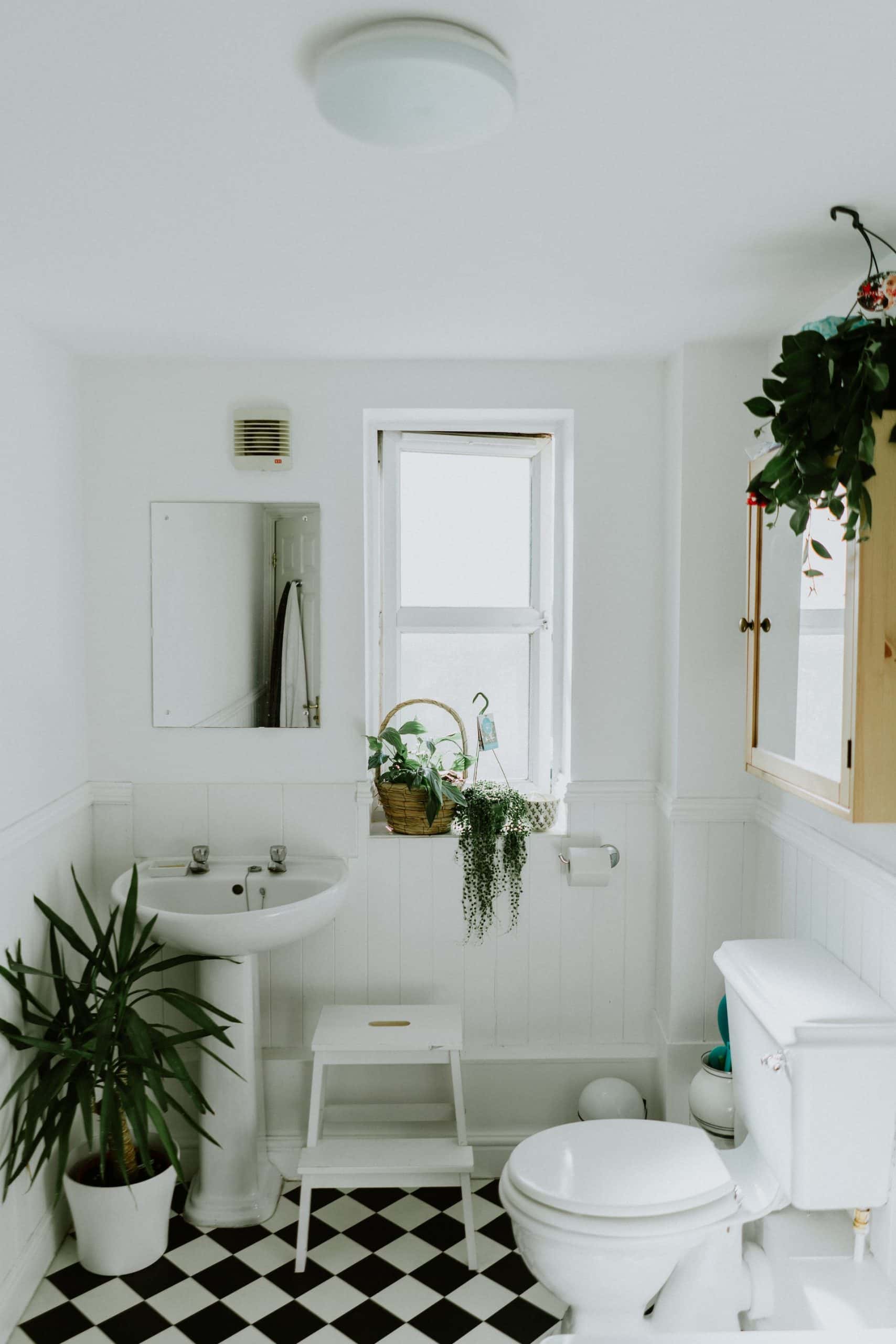 Budget-Friendly Small Bathroom Ideas: Big Impact Without the Big Cost