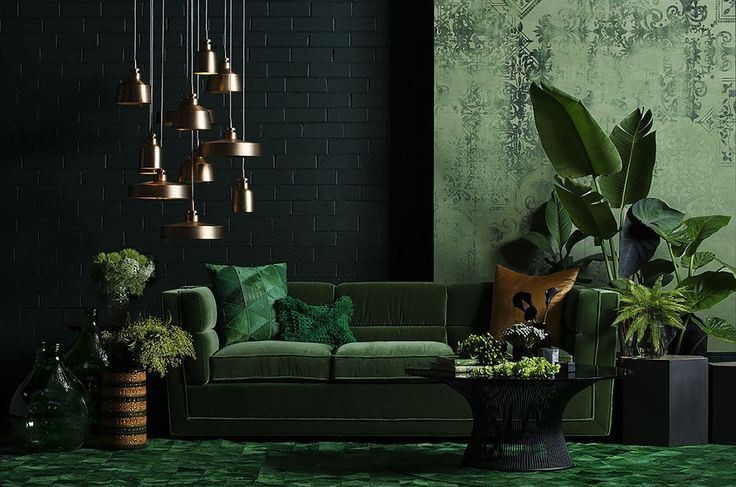 Eco-Chic Living: Innovative Green Interior Design Ideas for Every Room